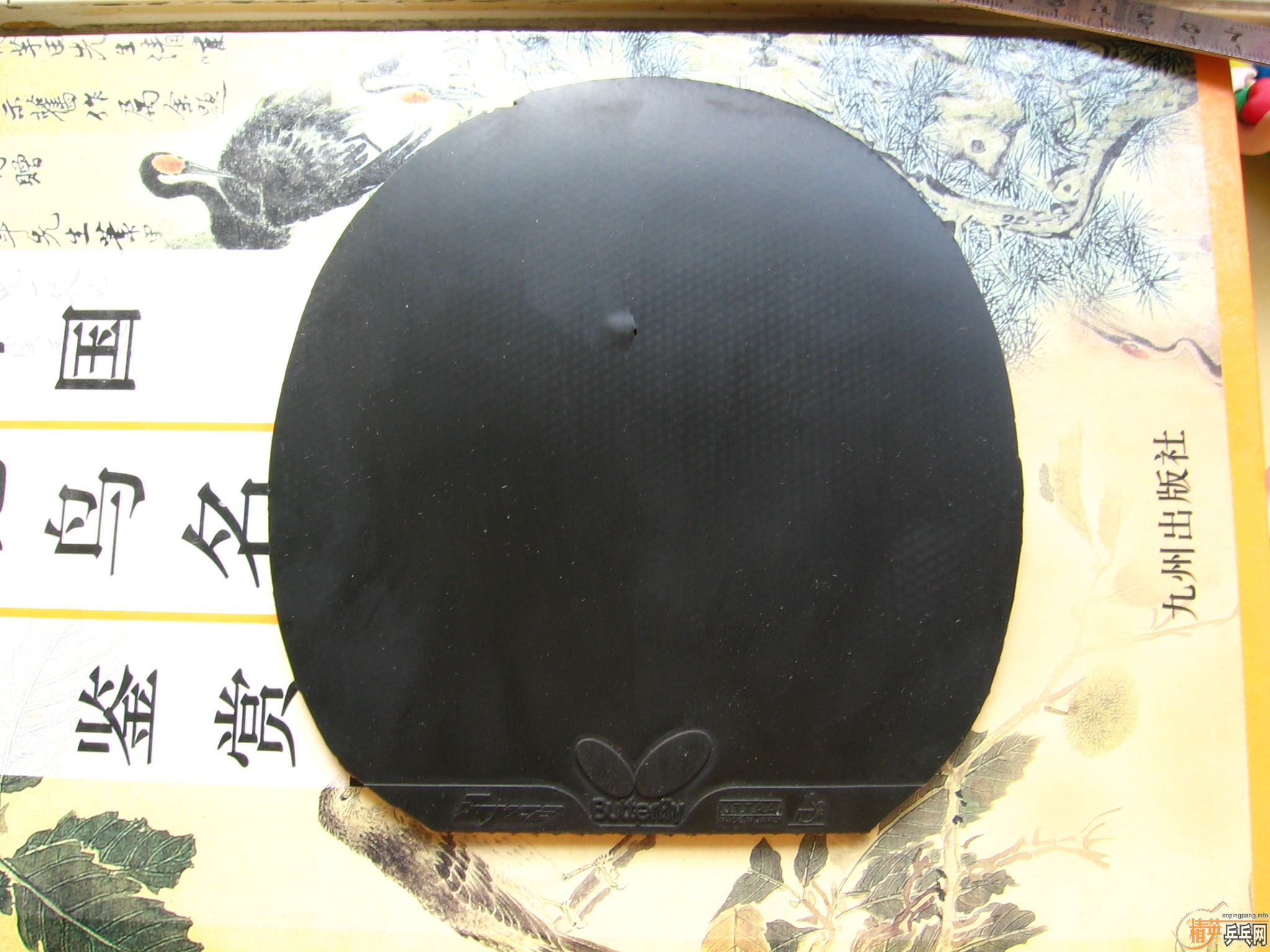 ��ɫT64 �ͺ�ɫ���  ����һƬTSP������ɫ