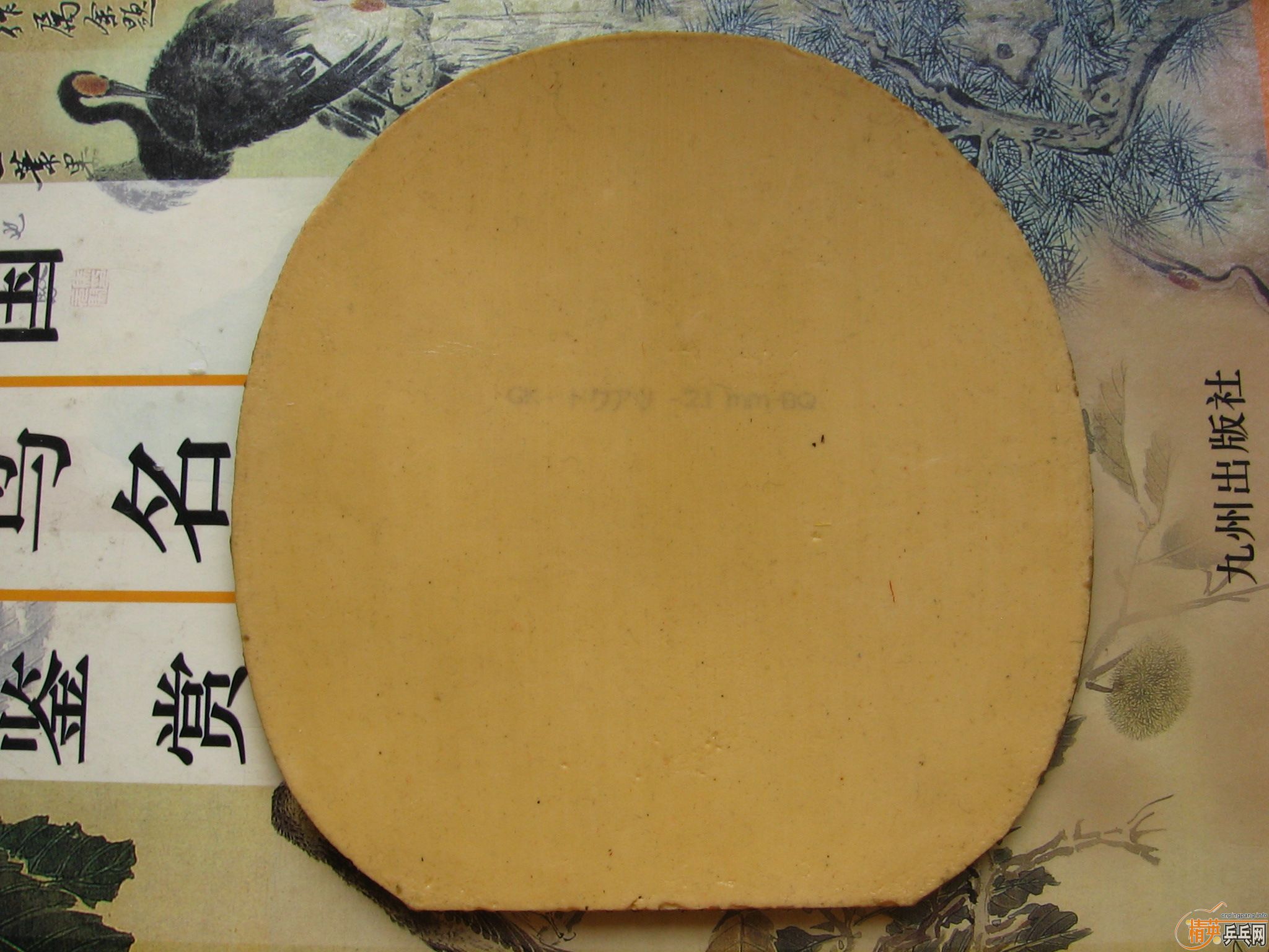 ��ɫT64 �ͺ�ɫ���  ����һƬTSP������ɫ