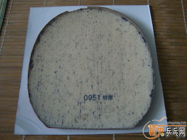 90���ʳ���ɫNITTAKU������ REFOMA �׷���