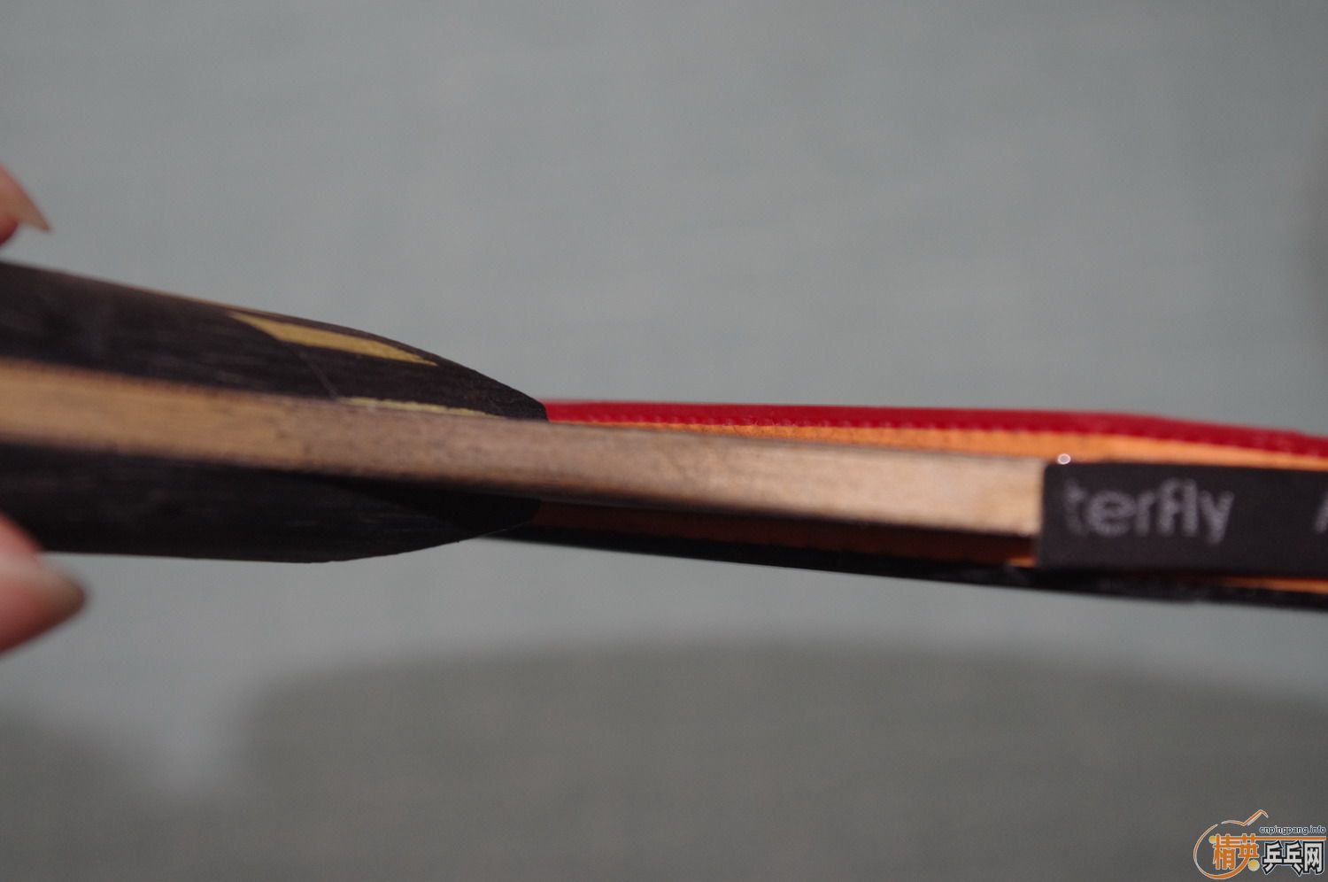 [ԭ��]������MC-2  50Ԫ