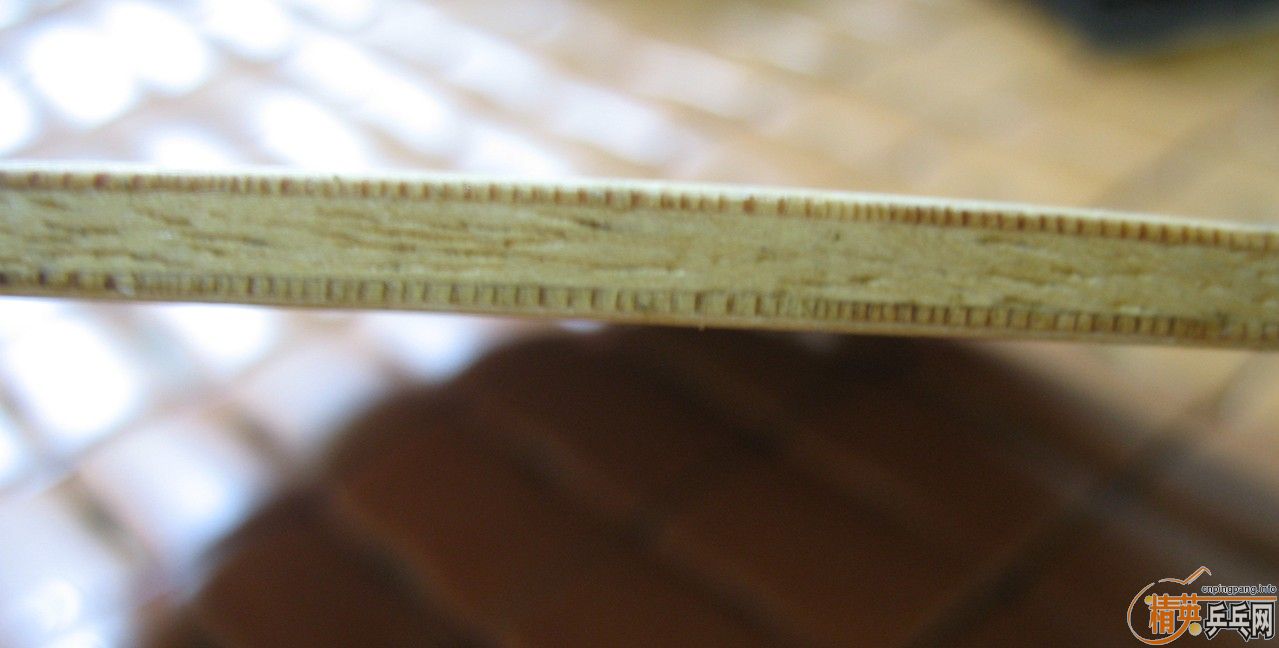 ��֧�������������Ǳ�������R5������