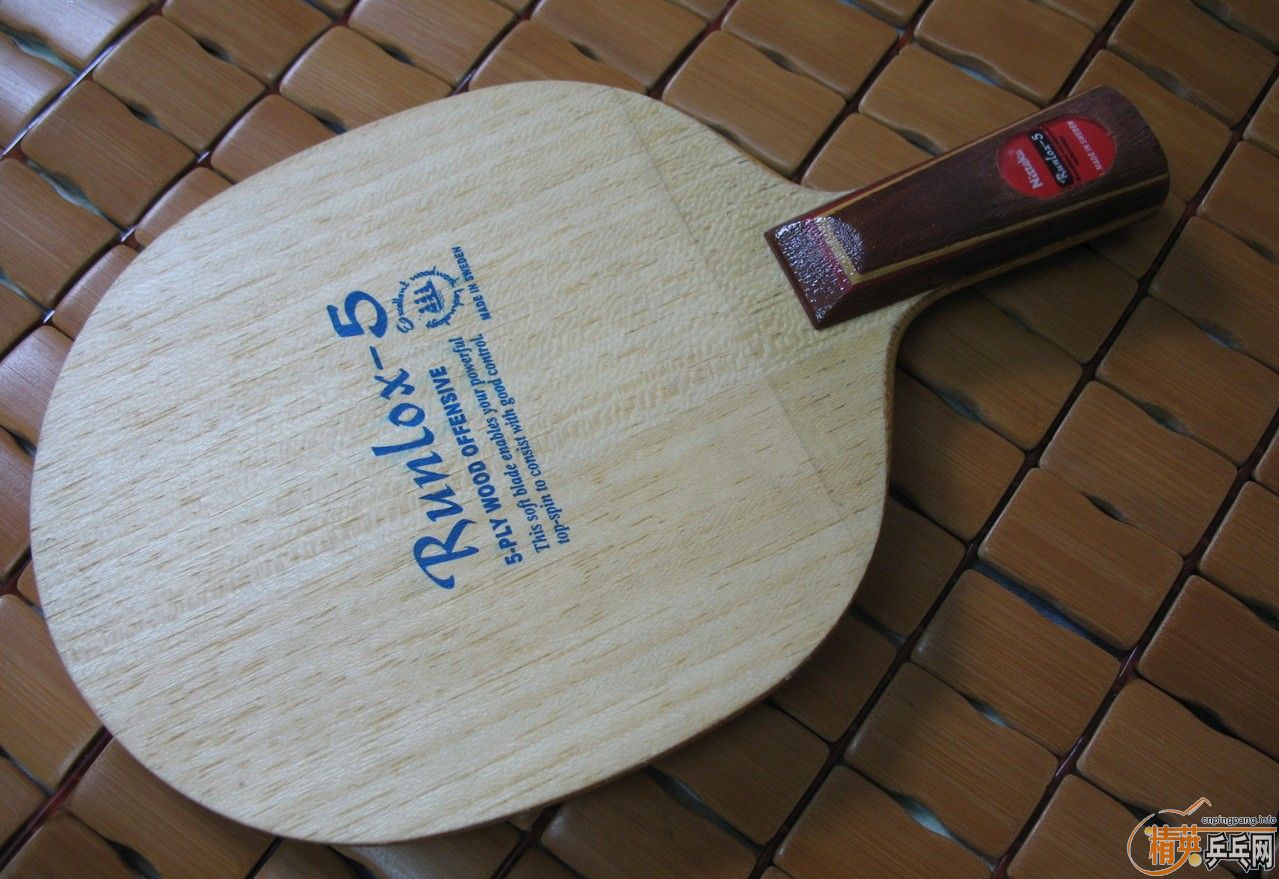 ��֧�������������Ǳ�������R5������