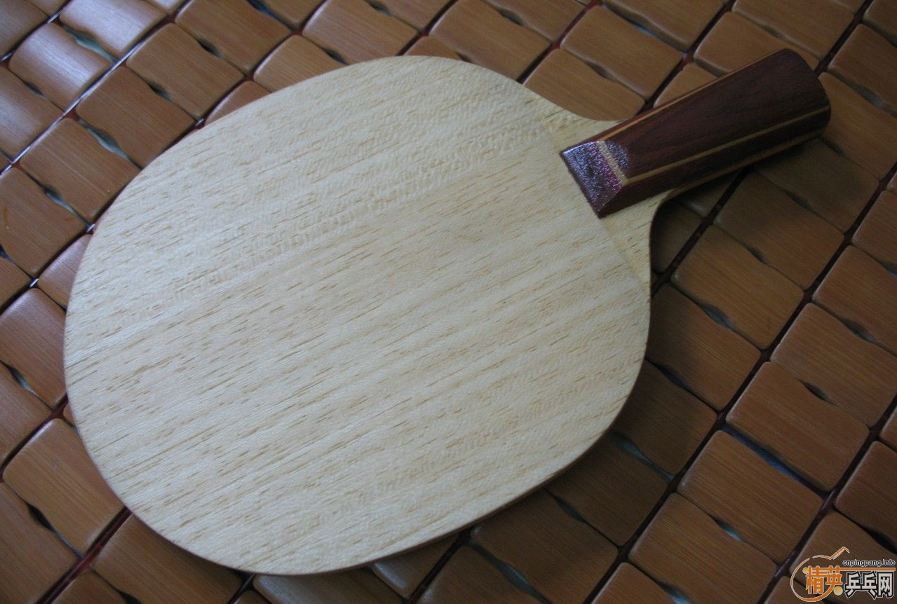 ��֧�������������Ǳ�������R5������