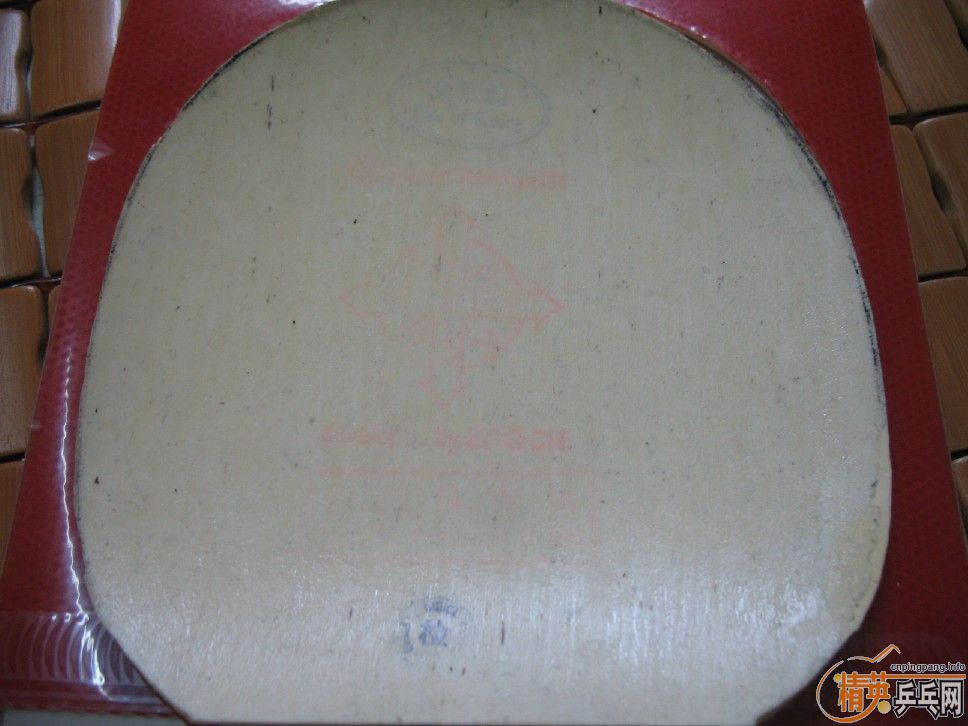 ��֧�������������Ǳ�������R5������