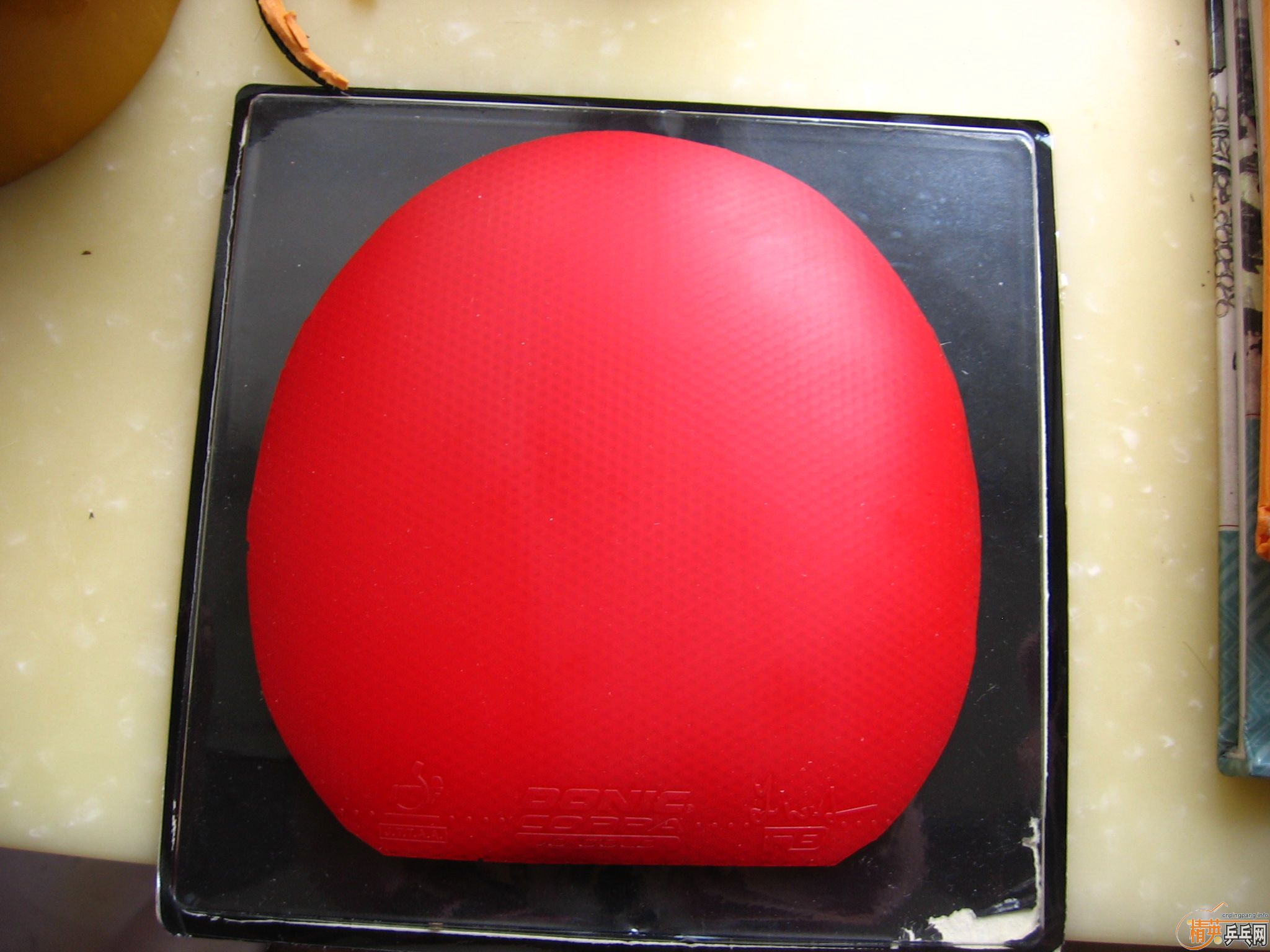 ����� ��JO ��ɫMAX 80��Բͨ        ͦ�γ�����һ��