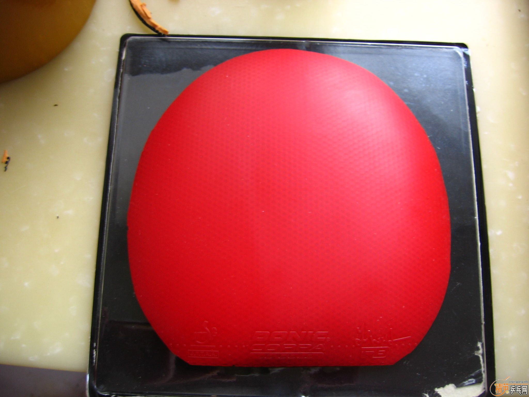 ����� ��JO ��ɫMAX 80��Բͨ        ͦ�γ�����һ��