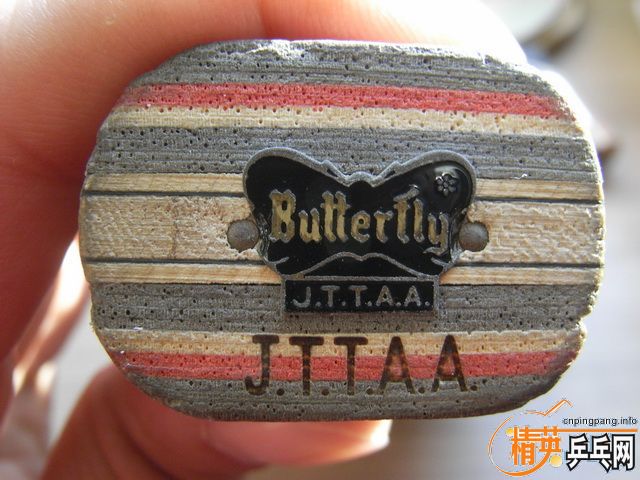 ��������̼һֻ����������