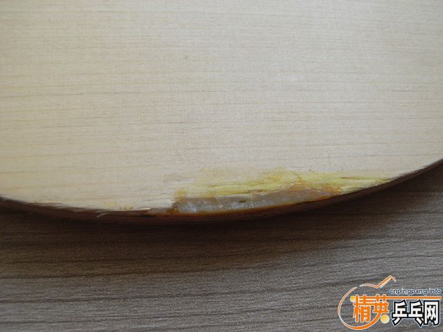 ��������̼һֻ����������