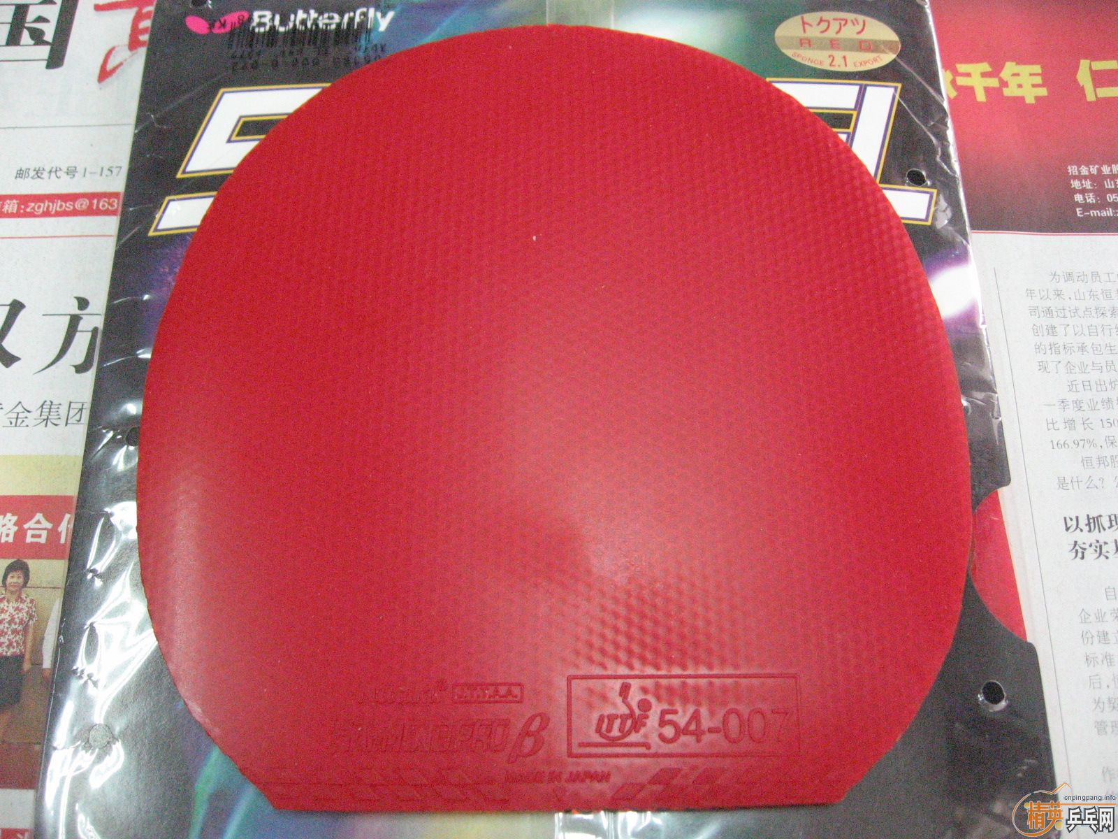 ˹����L��˹����EL�����ɵ�beta