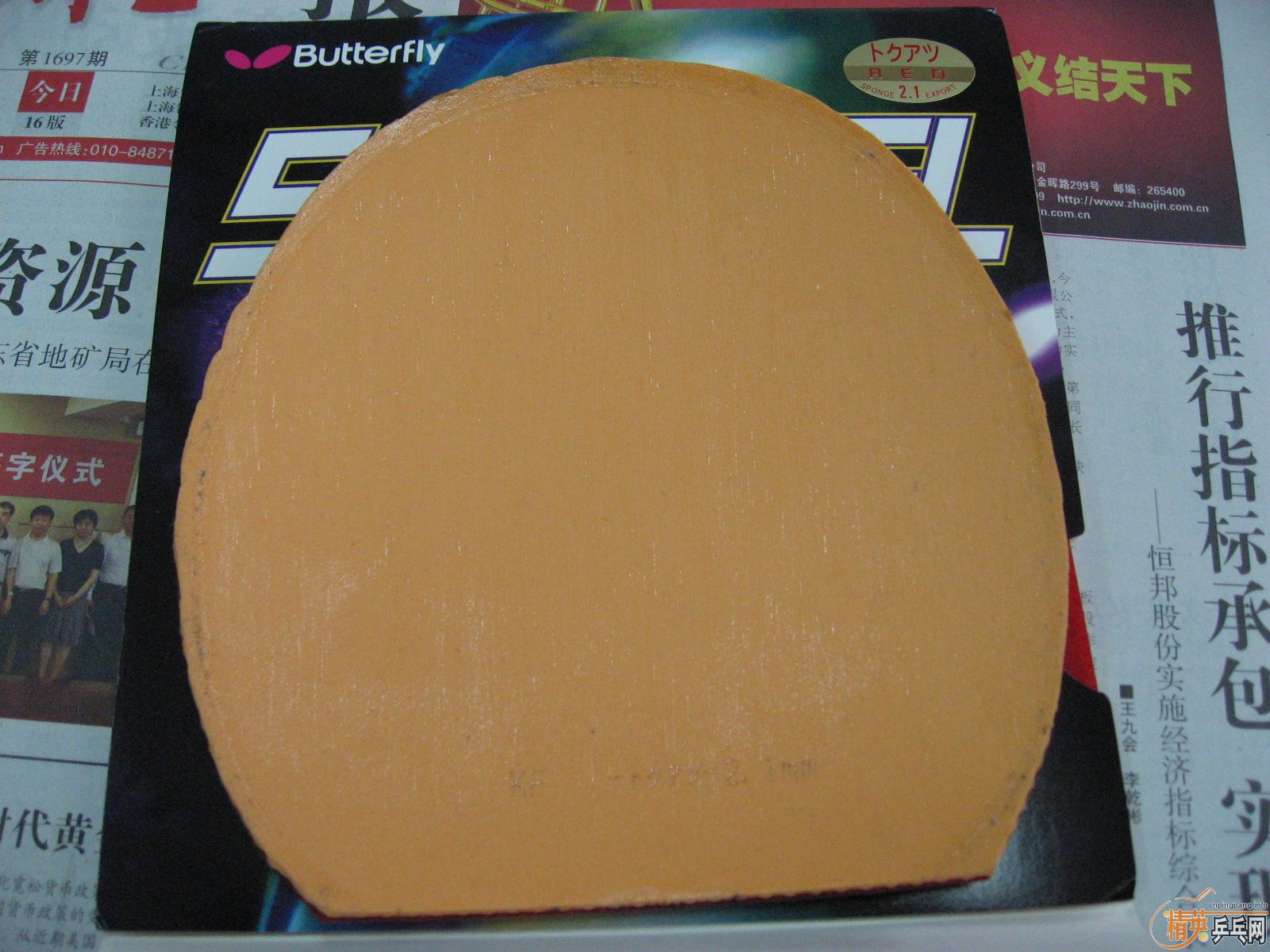 ˹����L��˹����EL�����ɵ�beta