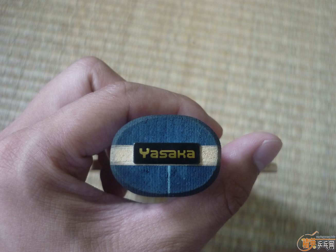 YEʲô汾İ
