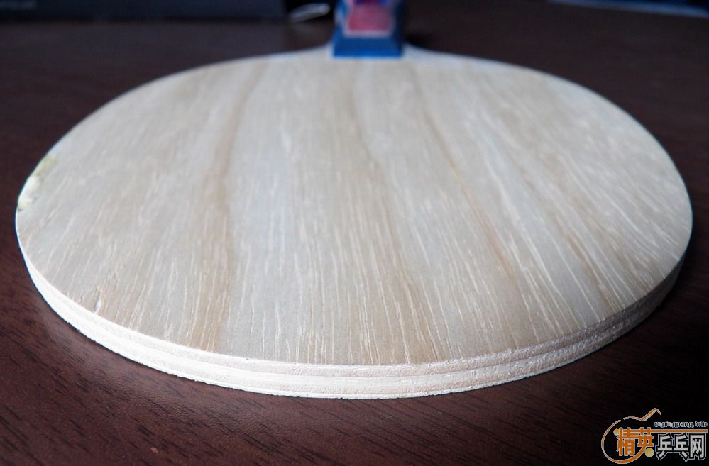 �ٳ���֧��