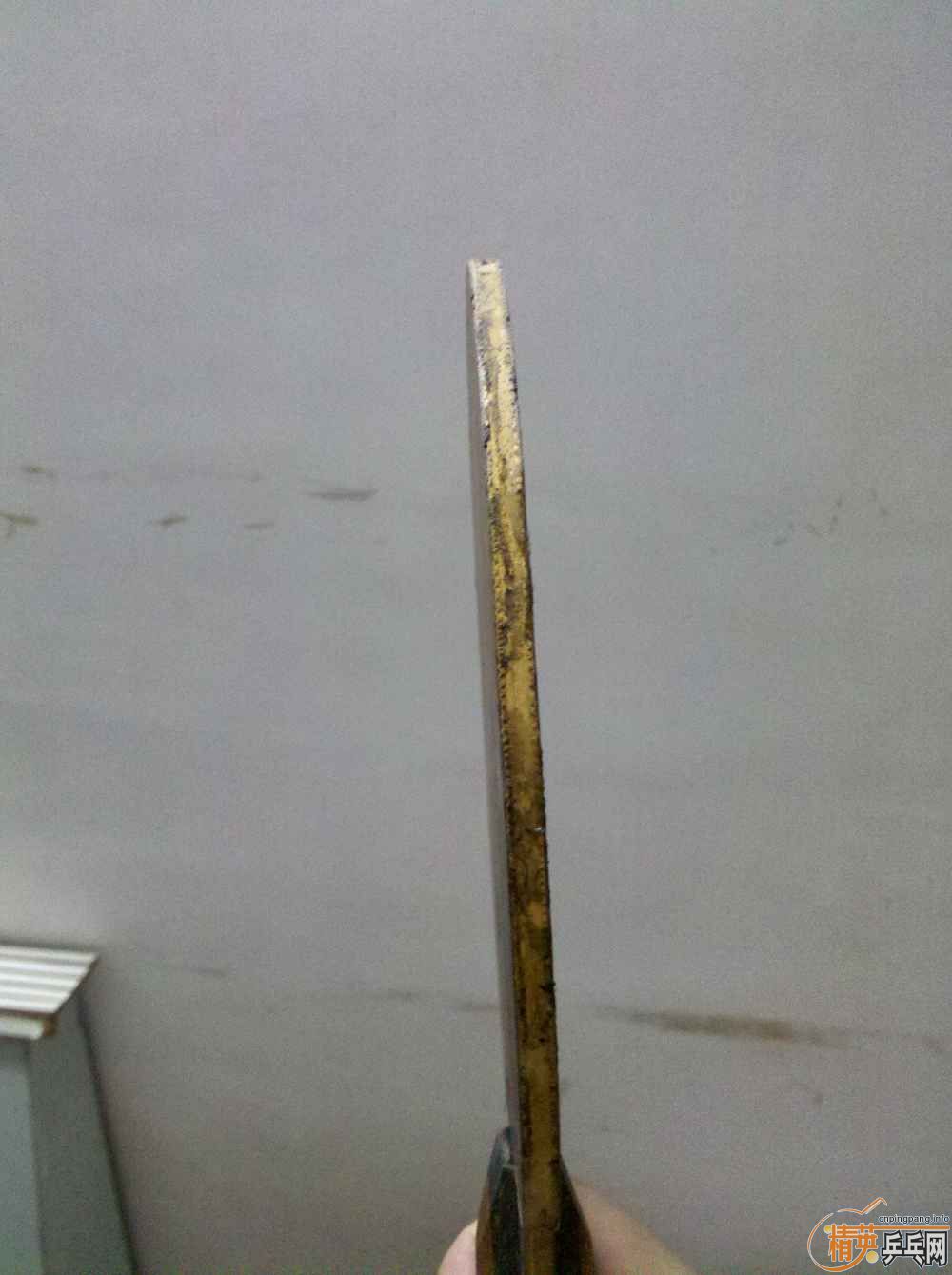 �ѳ�������������������������-->wzq2003188ת��