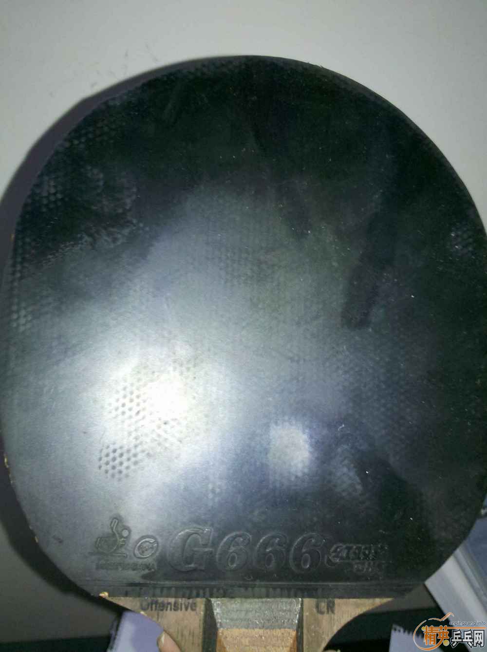 ѳ-->wzq2003188ת