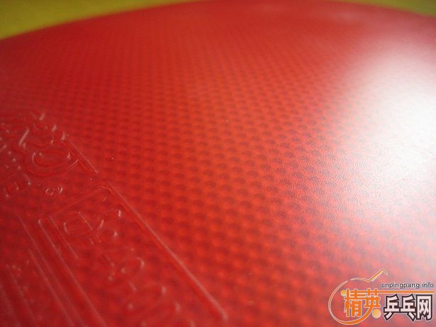 ֧���������������Ƥ