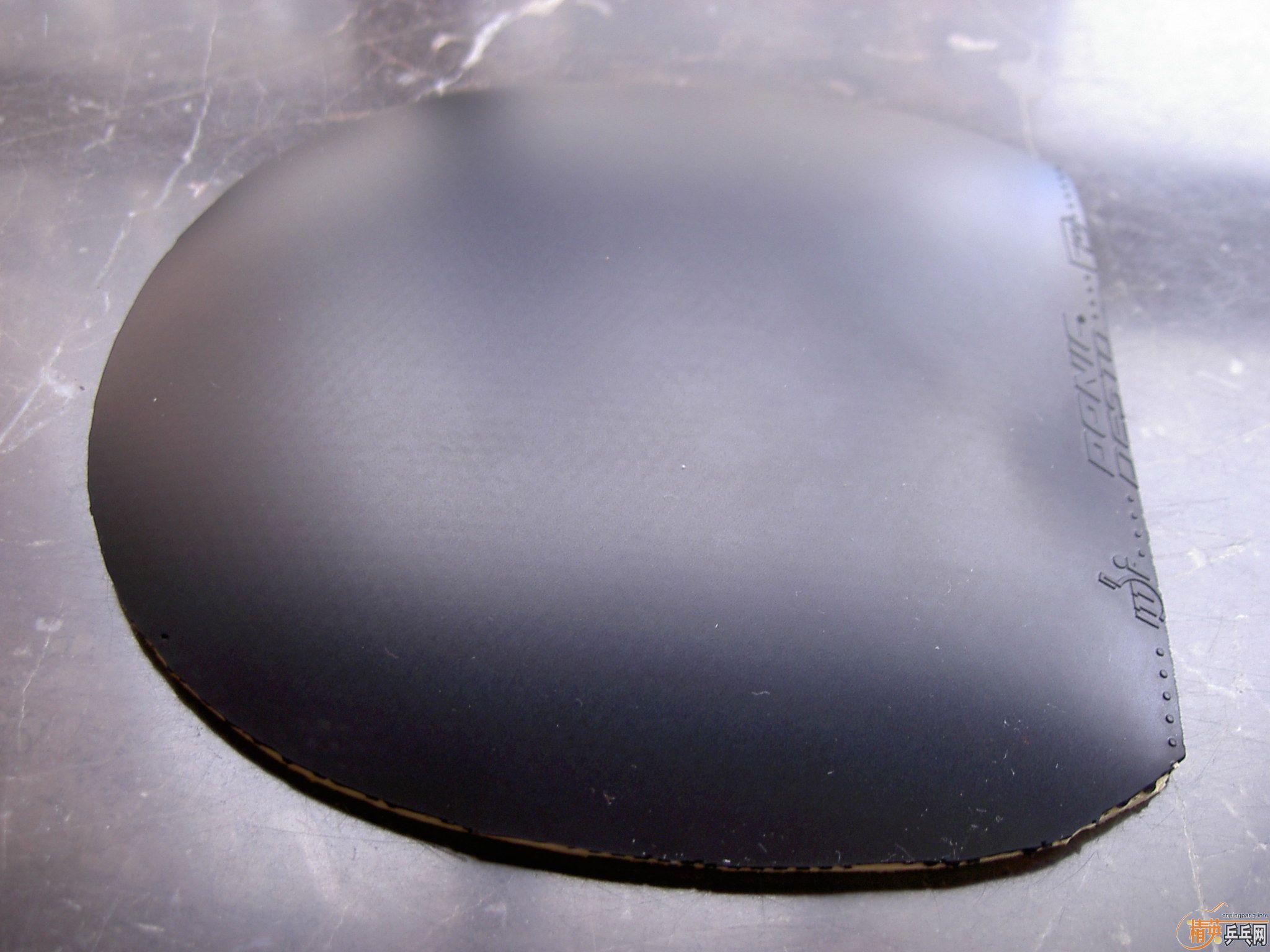 ������������F1��EL.����Ⱥ���׽� ������