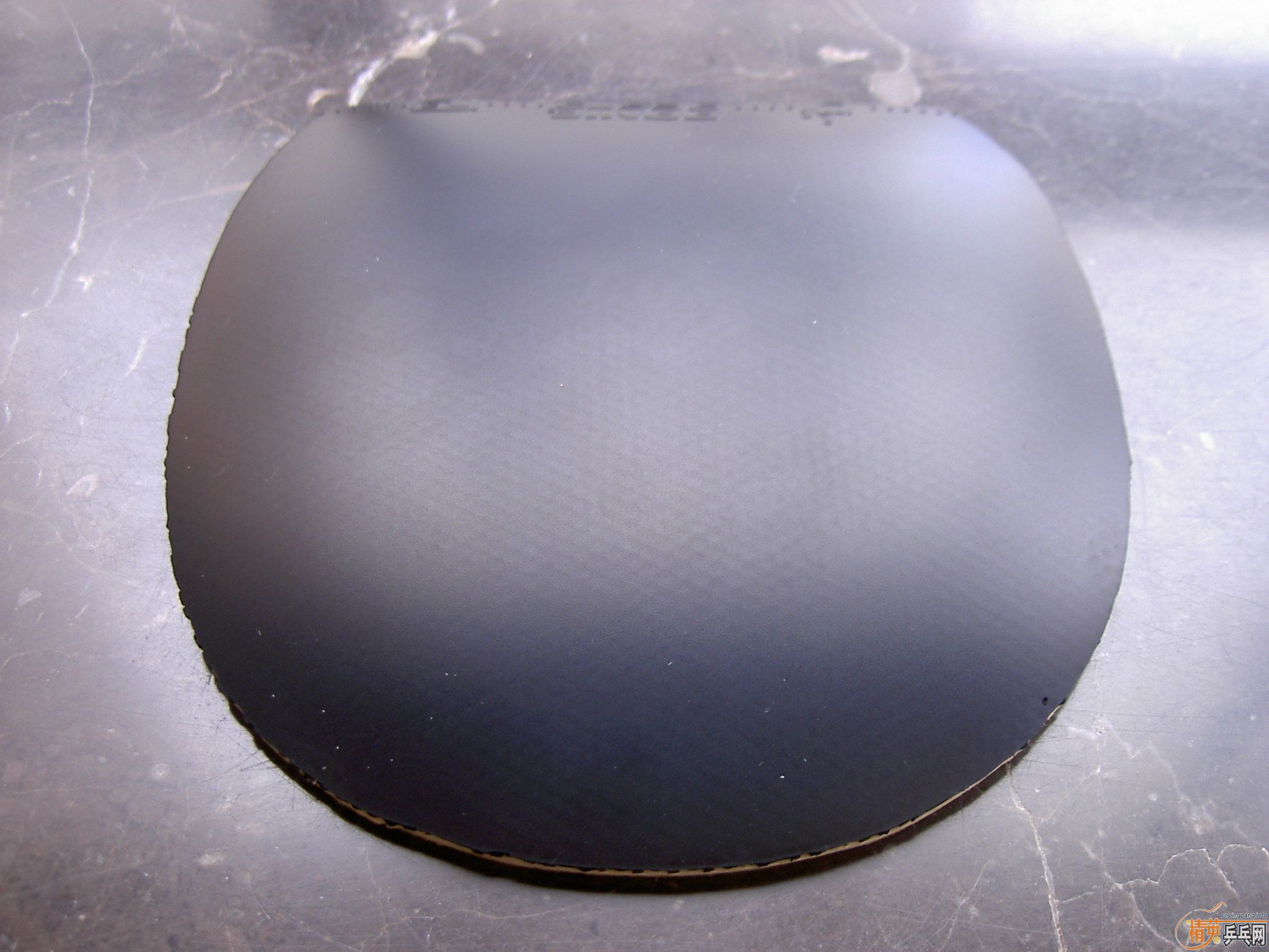 ������������F1��EL.����Ⱥ���׽� ������