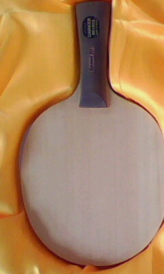 9.9�²���ZLC��860���ʣ�֧������������