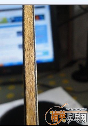 ���л�EG���SP