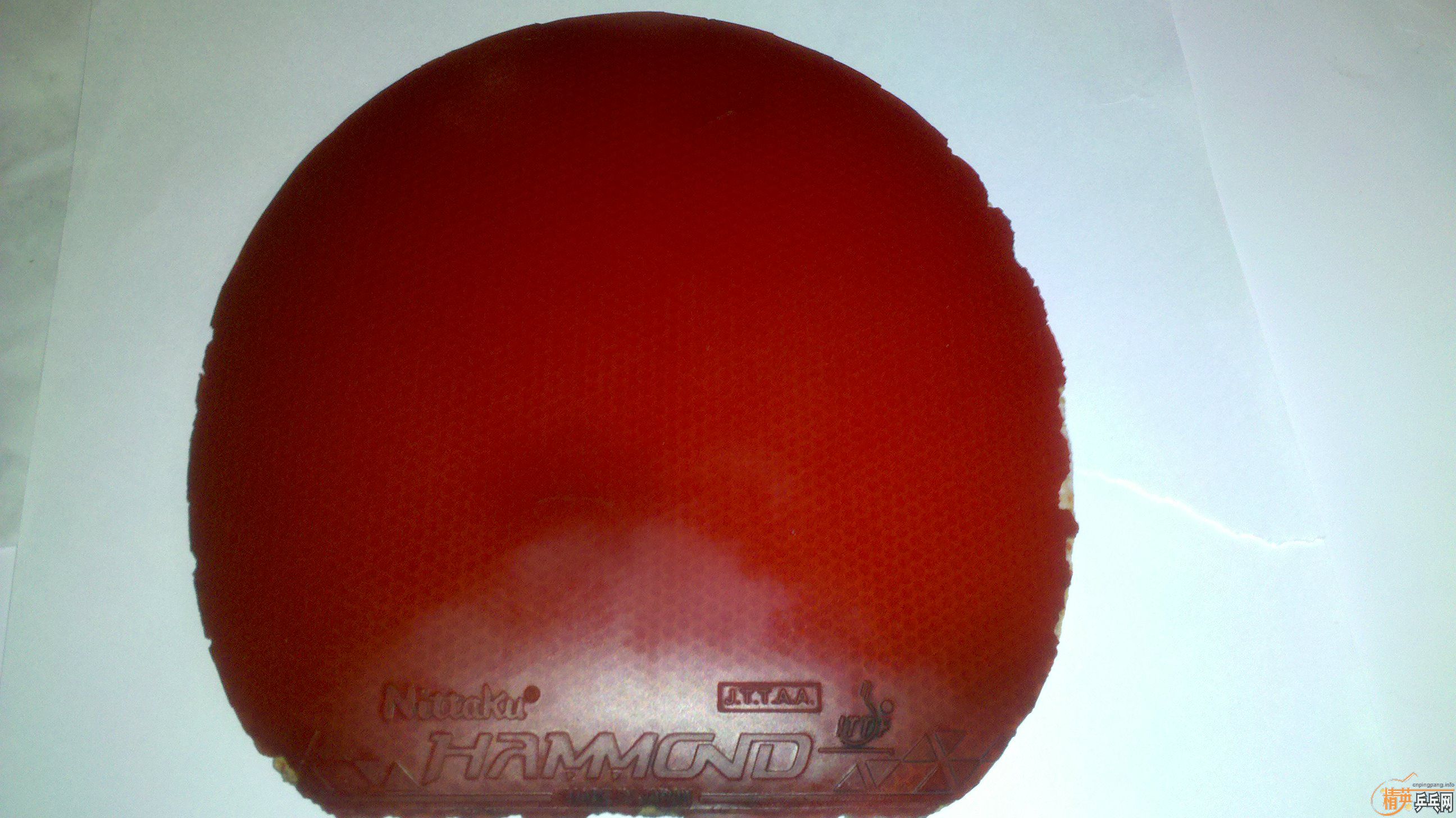 ������ ���� +  03�����39��