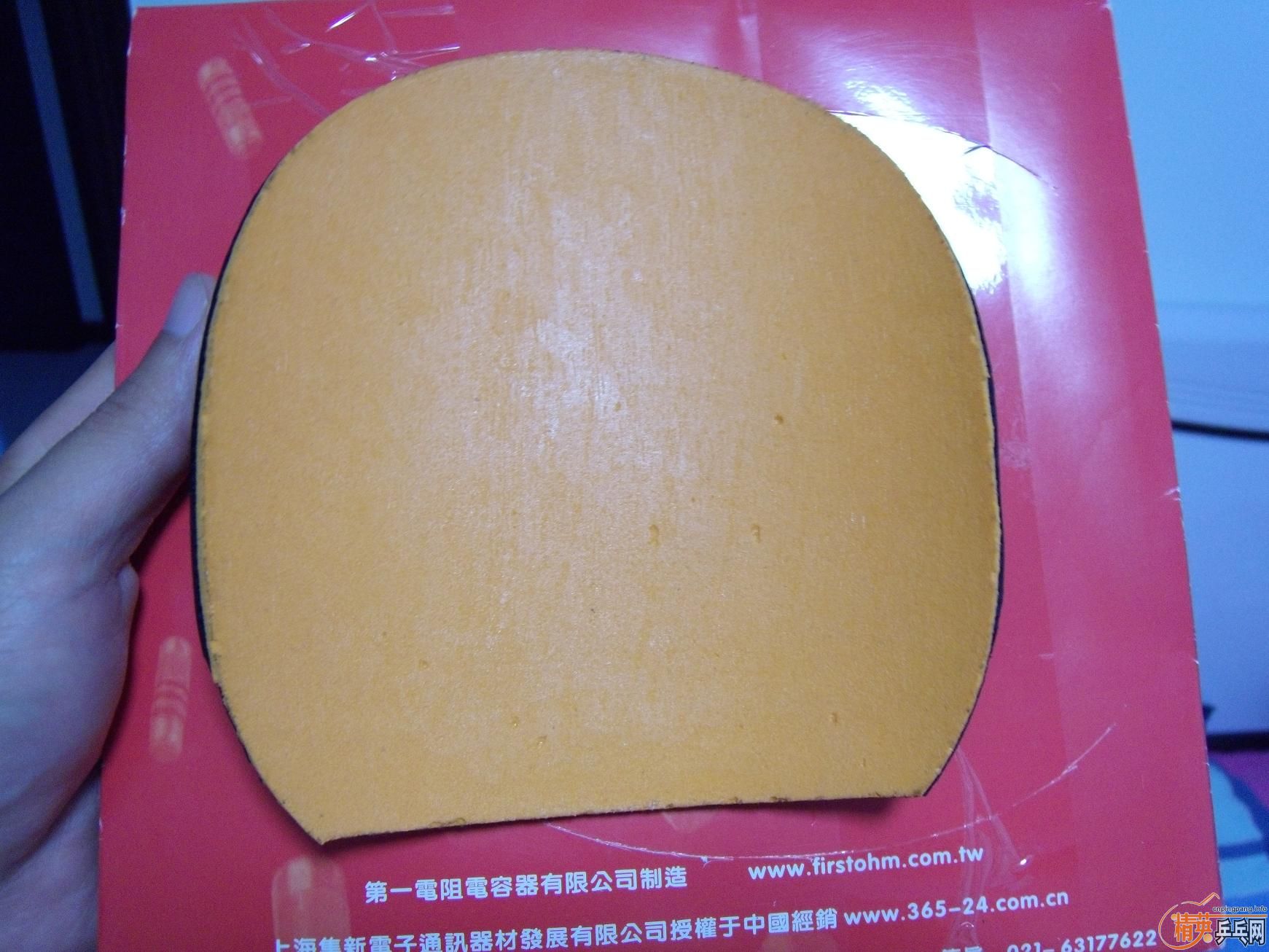 �������׽���V��BARACUDA��������PRO