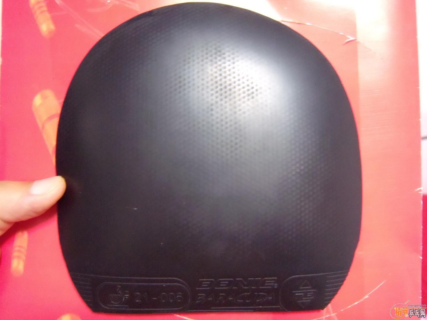 �������׽���V��BARACUDA��������PRO