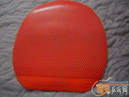 ���׽����,�����ʺ����,��Ǯ����.6���׽���140Ԫ