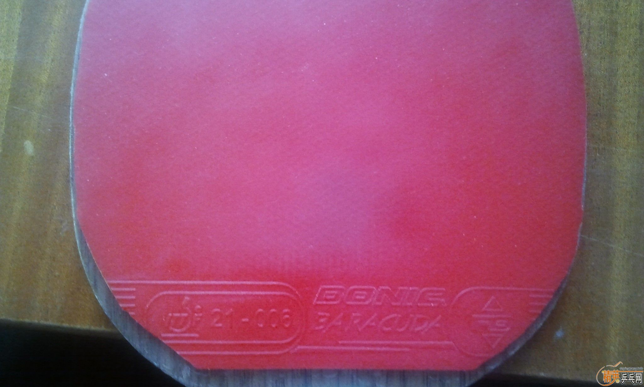 �ͼ۳�С����BARACUDAֱ�巴���׽�