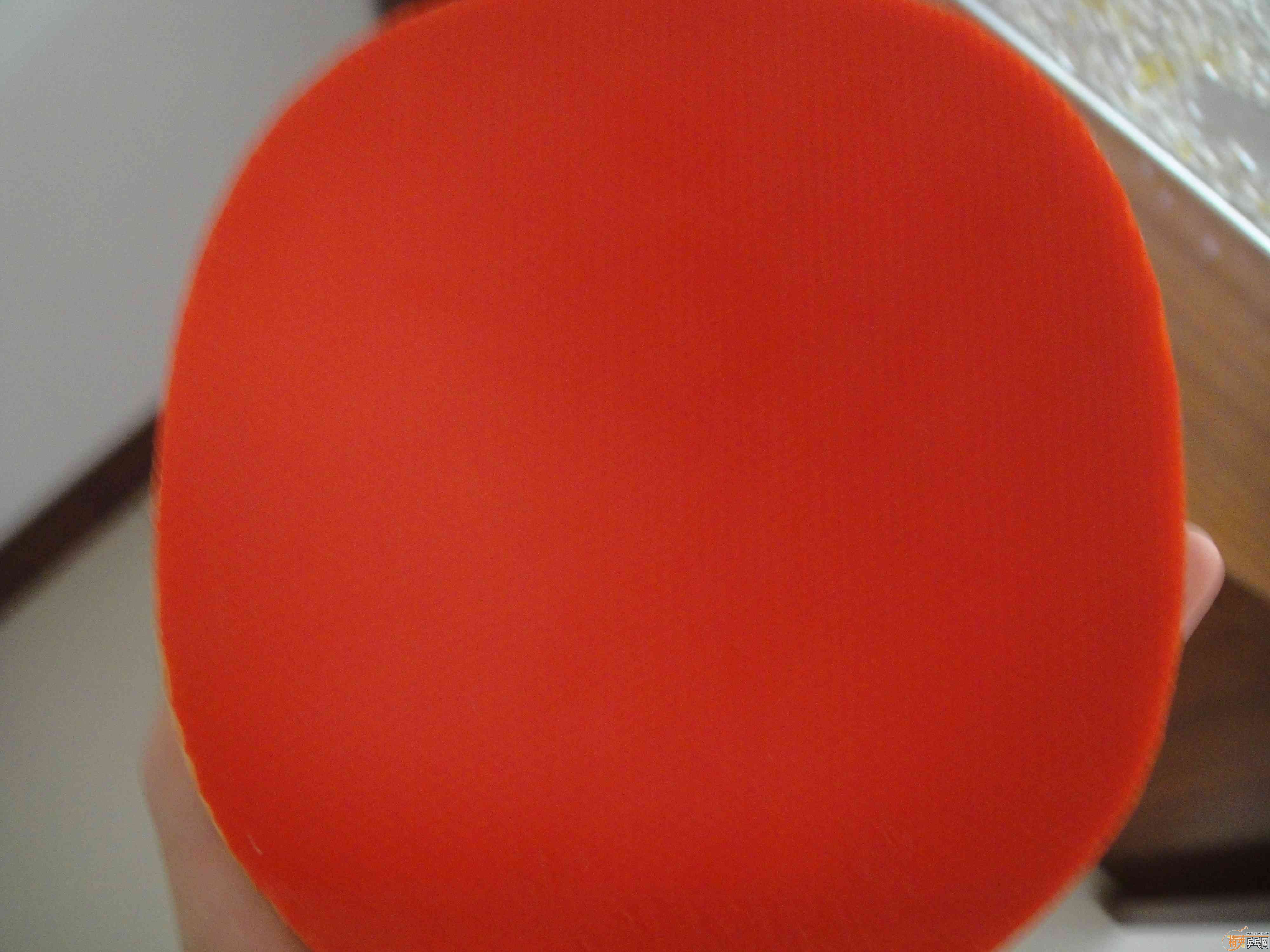 [����]������X1,LKT,��3��YASAKA ZAP��