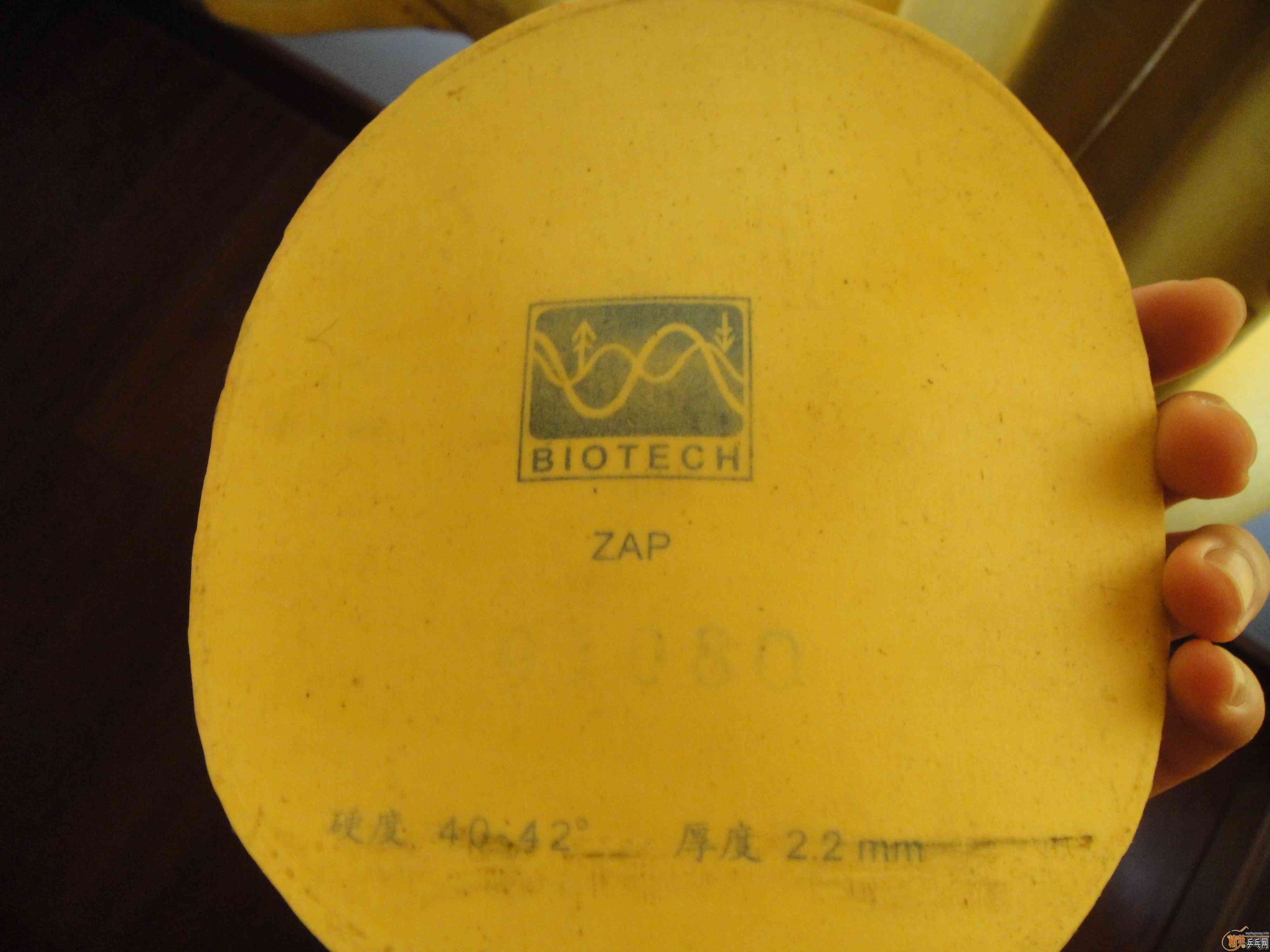 [����]������X1,LKT,��3��YASAKA ZAP��