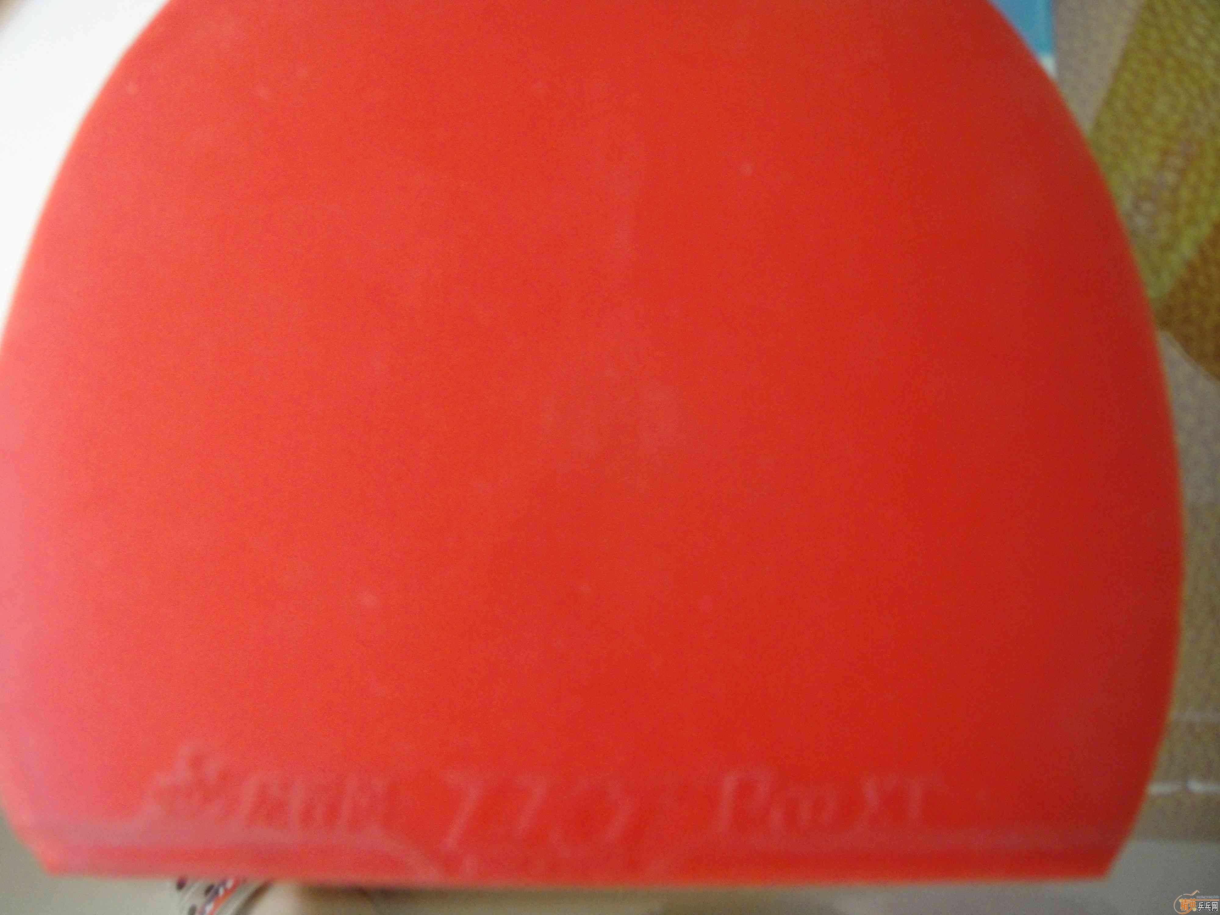 [����]������X1,LKT,��3��YASAKA ZAP��