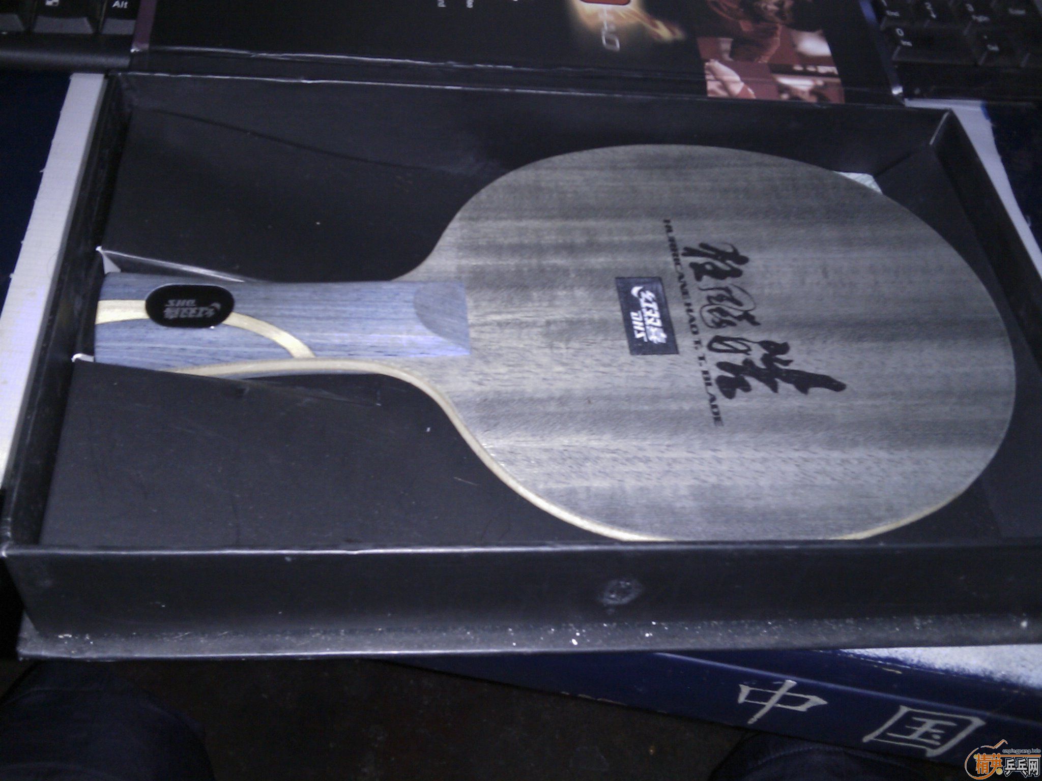 ���𩻻�� oc cl ����oc viva �Ʊ���