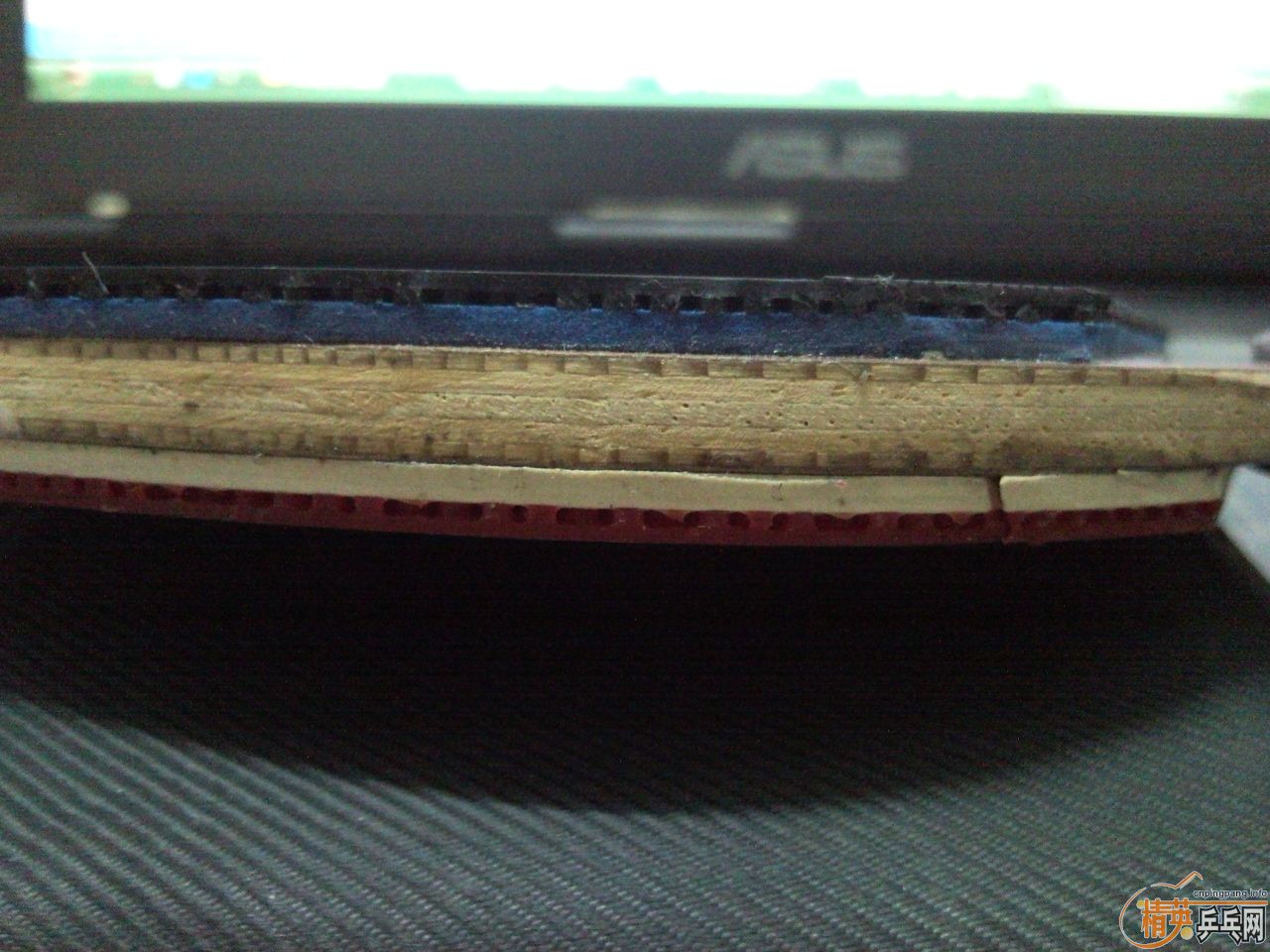 ˵˵�������ʻ�Ȧ�壬˳��������