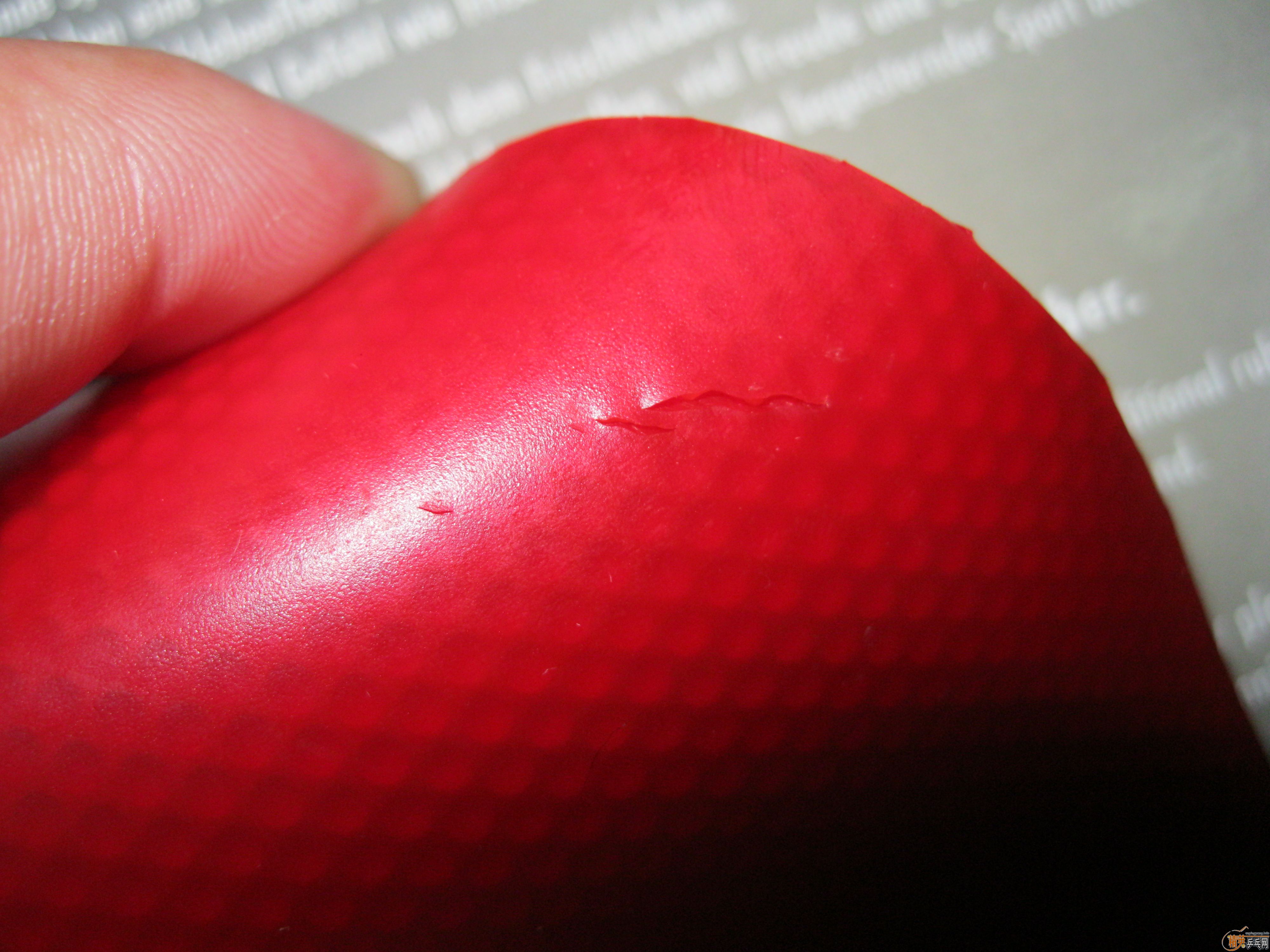 ������̼���뽺Ƥ-DONIC��̼��ST��+08+JO