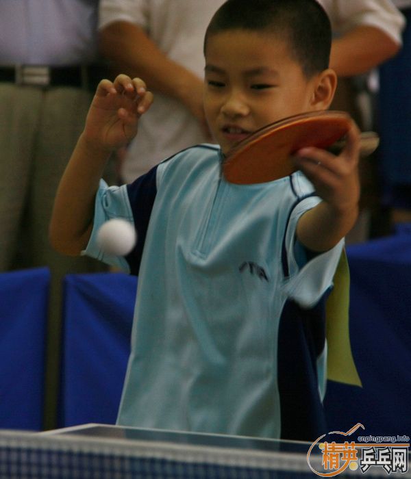 ƹǡ2011߽죩˹ۿƹ¡ؿĻ