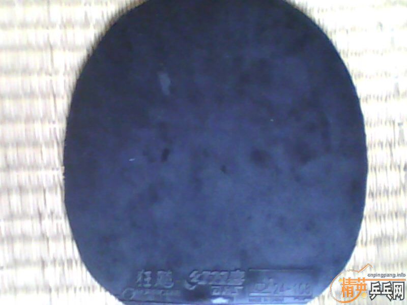 �����������������ײ˼۳���Ƥ���͵װ���������������ɡ�������������������û�������