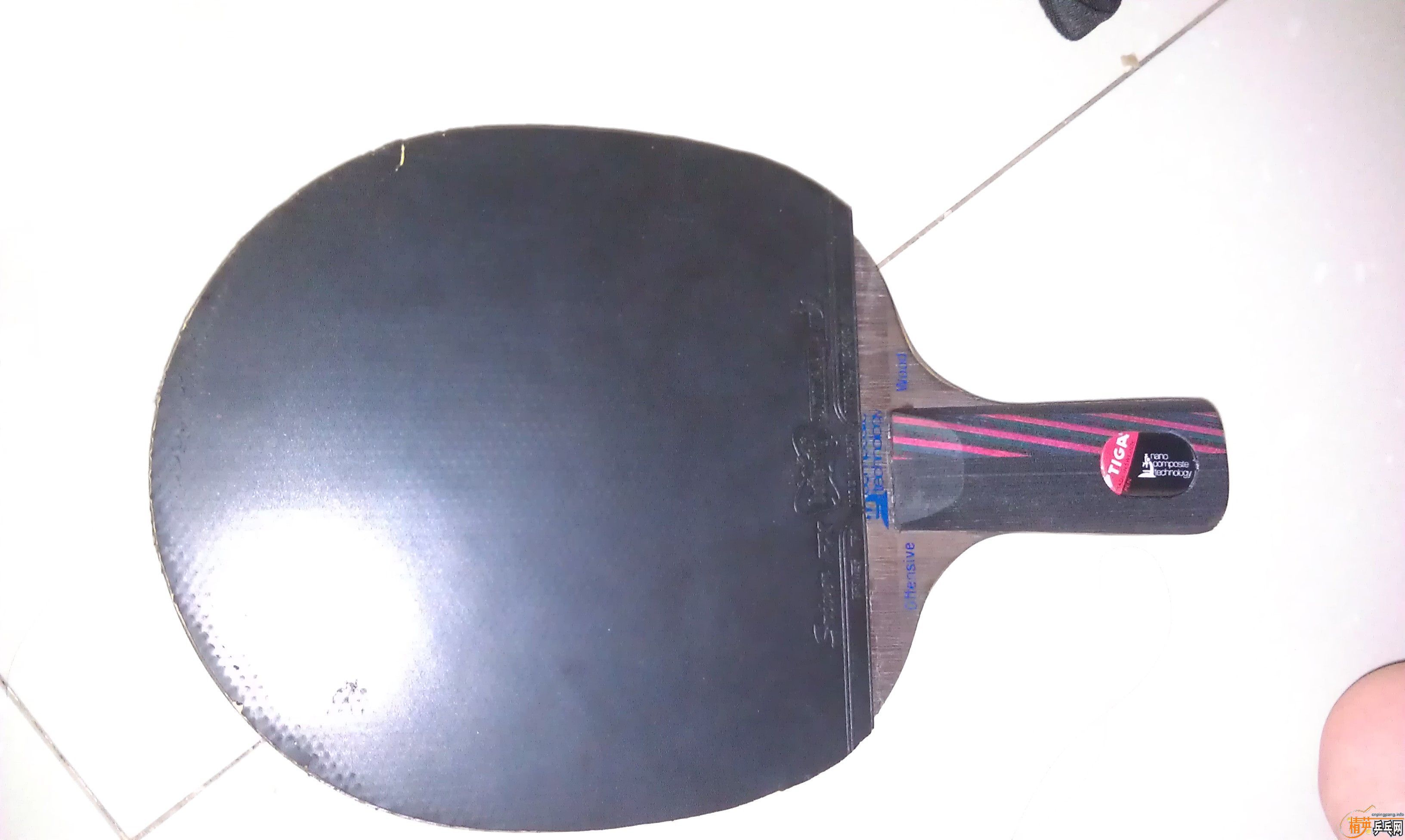 FX�����׽�9����65����