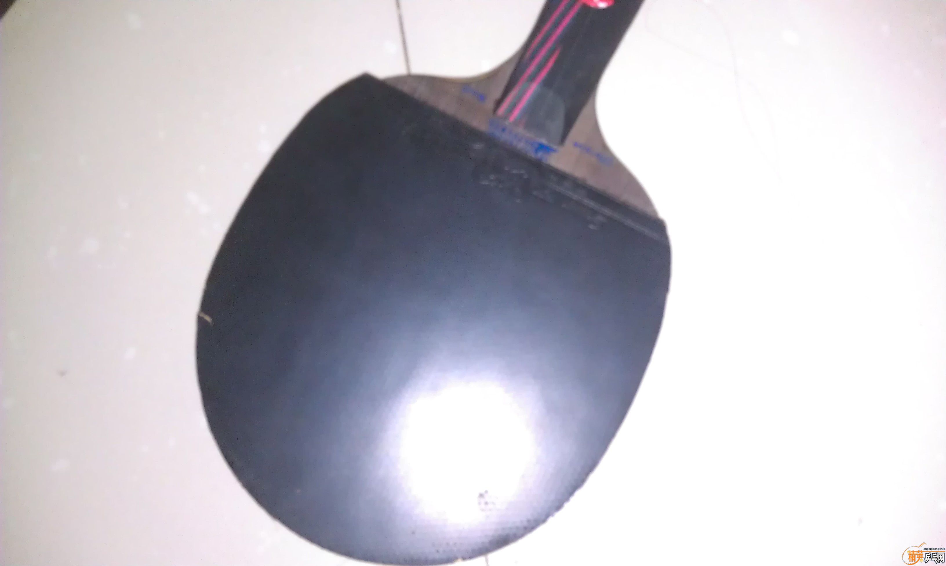 FX�����׽�9����65����