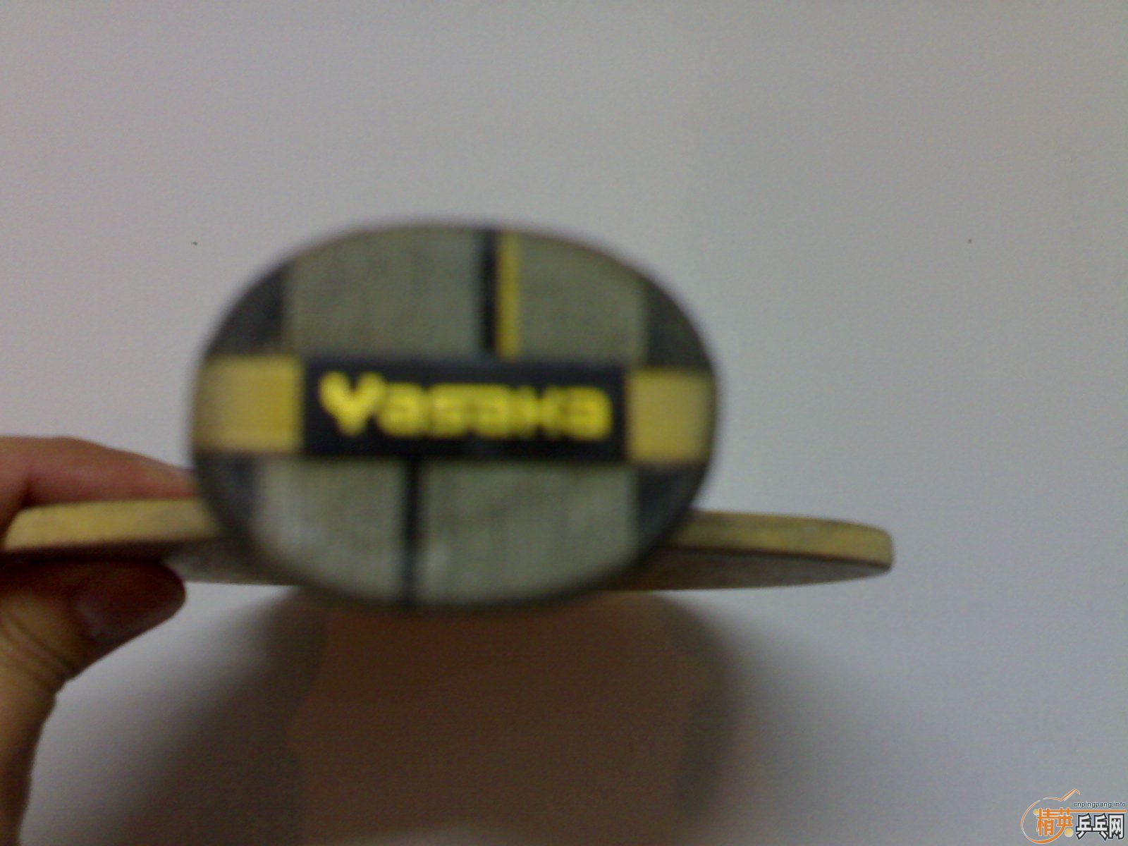 YASAKA     YEO     350Ԫ(Ŀǰ)-->wzq2003188ת