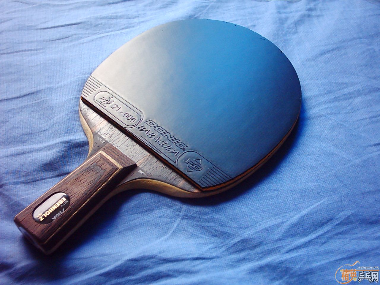 BARACUDA-------------------------------˹�ۿ�ֱ������