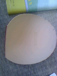 �����Ŵ�רҵ�������Ľ�Ƥ��