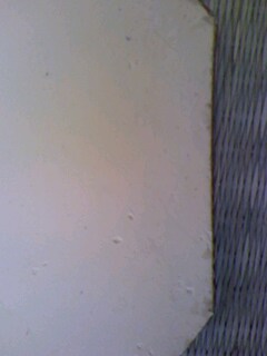 �����Ŵ�רҵ�������Ľ�Ƥ��