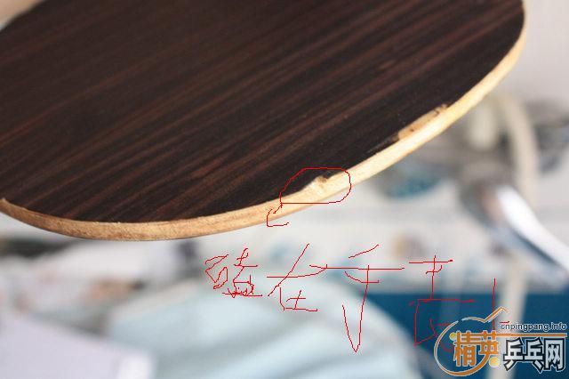 ��֧��������һ��ŷ�档������������������̴5����Ҫ�Ŀ�������������