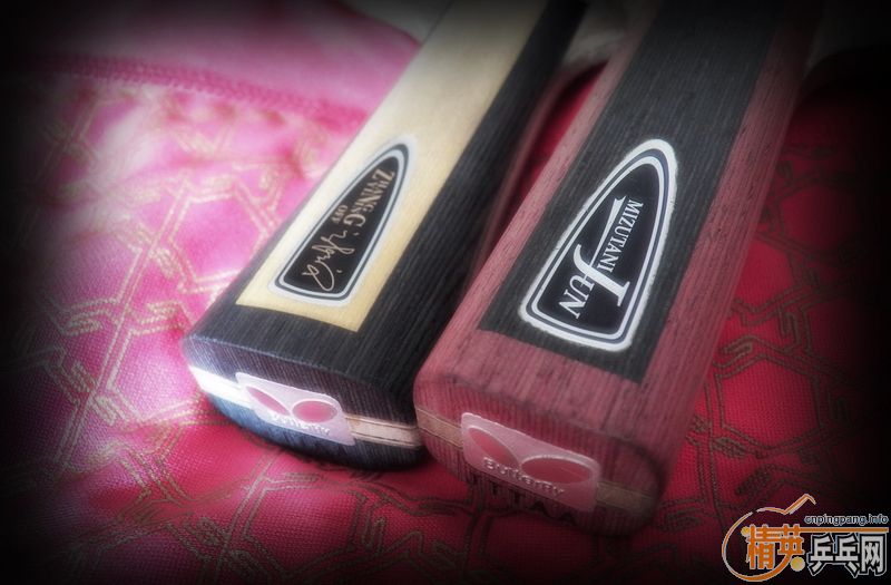 �ٳ���֧��