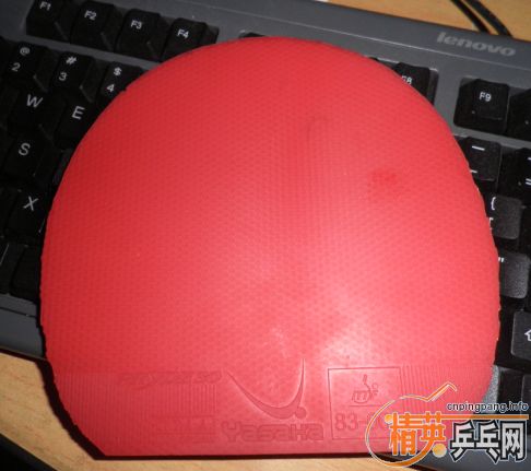 ֱ���� ���ʡ�� ������������Ƥ�����������