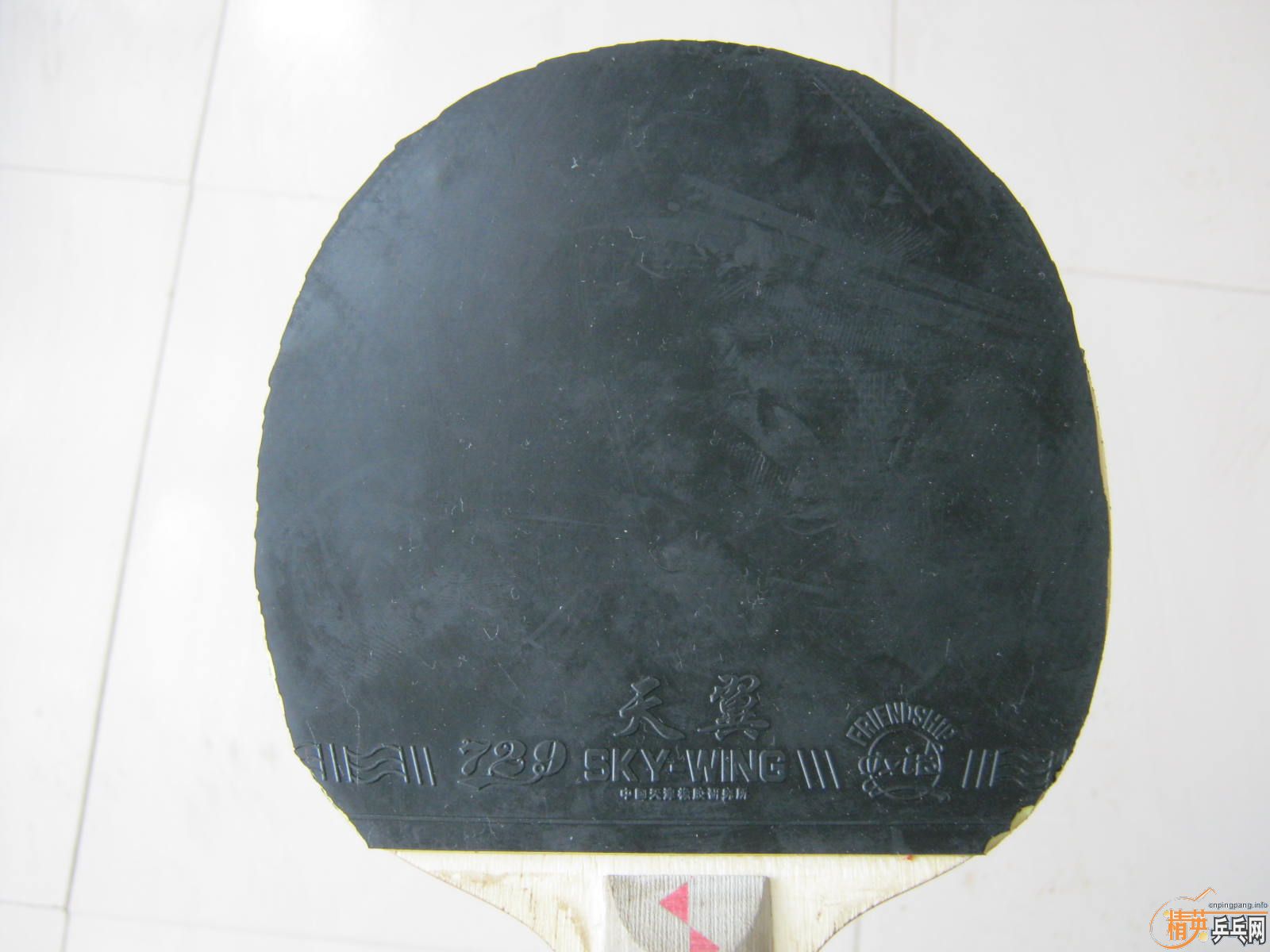 ���ѵ����ӵװ�+ʡ����+������������