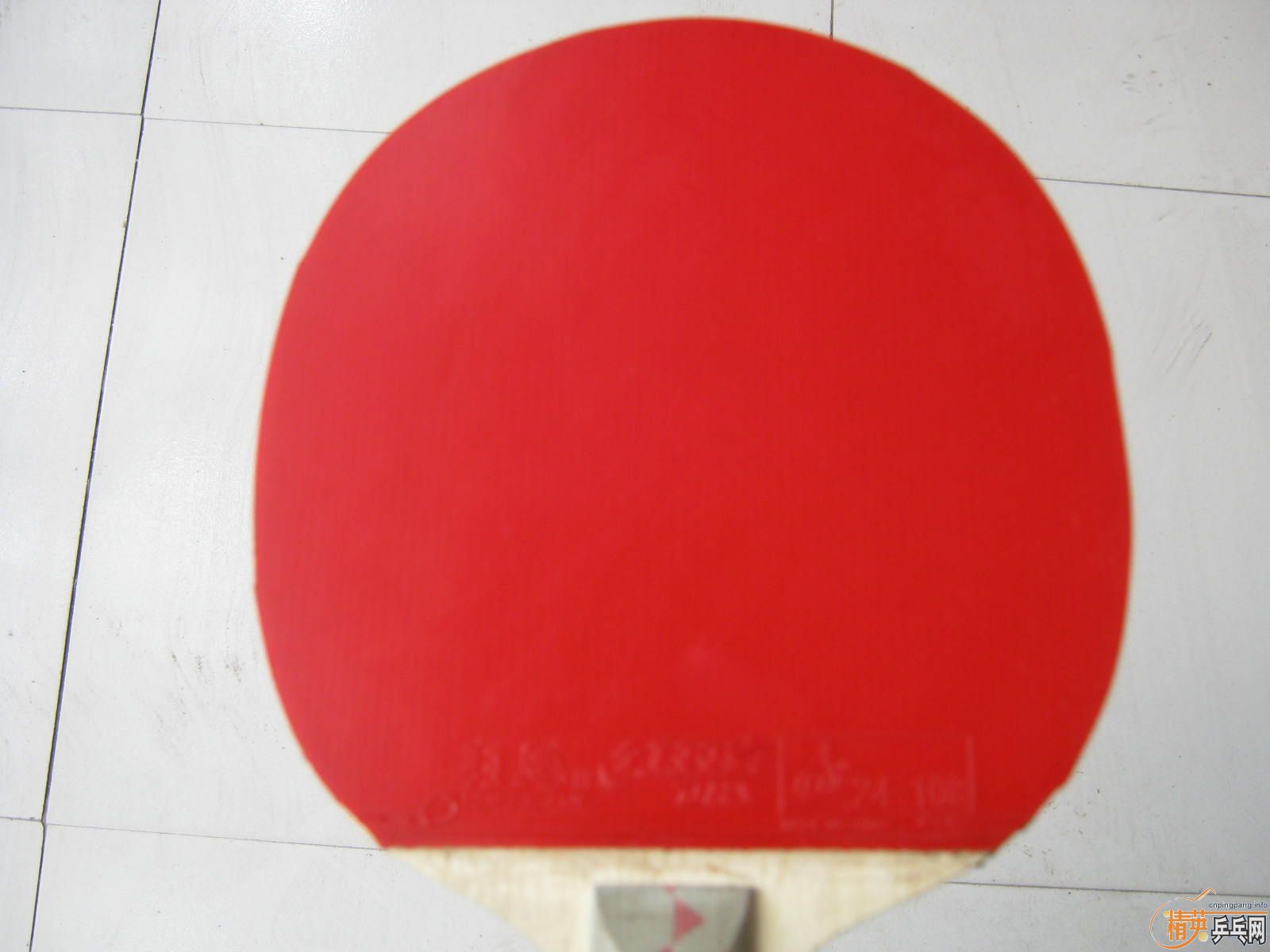 ���ѵ����ӵװ�+ʡ����+������������