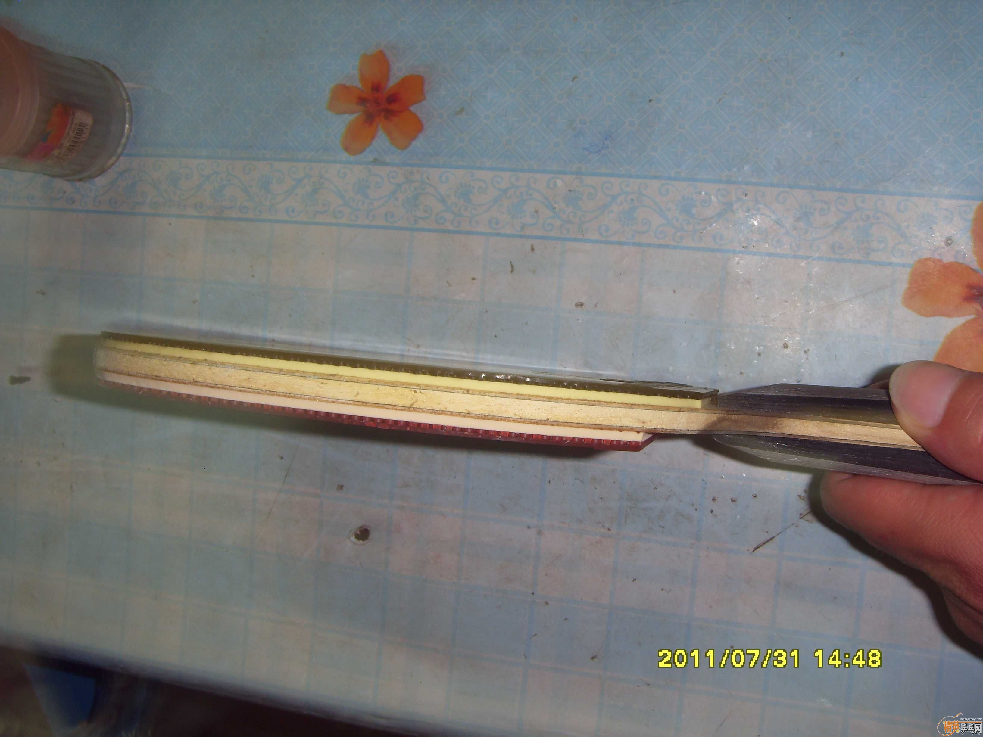 ���׵���̼~��ע��С��~