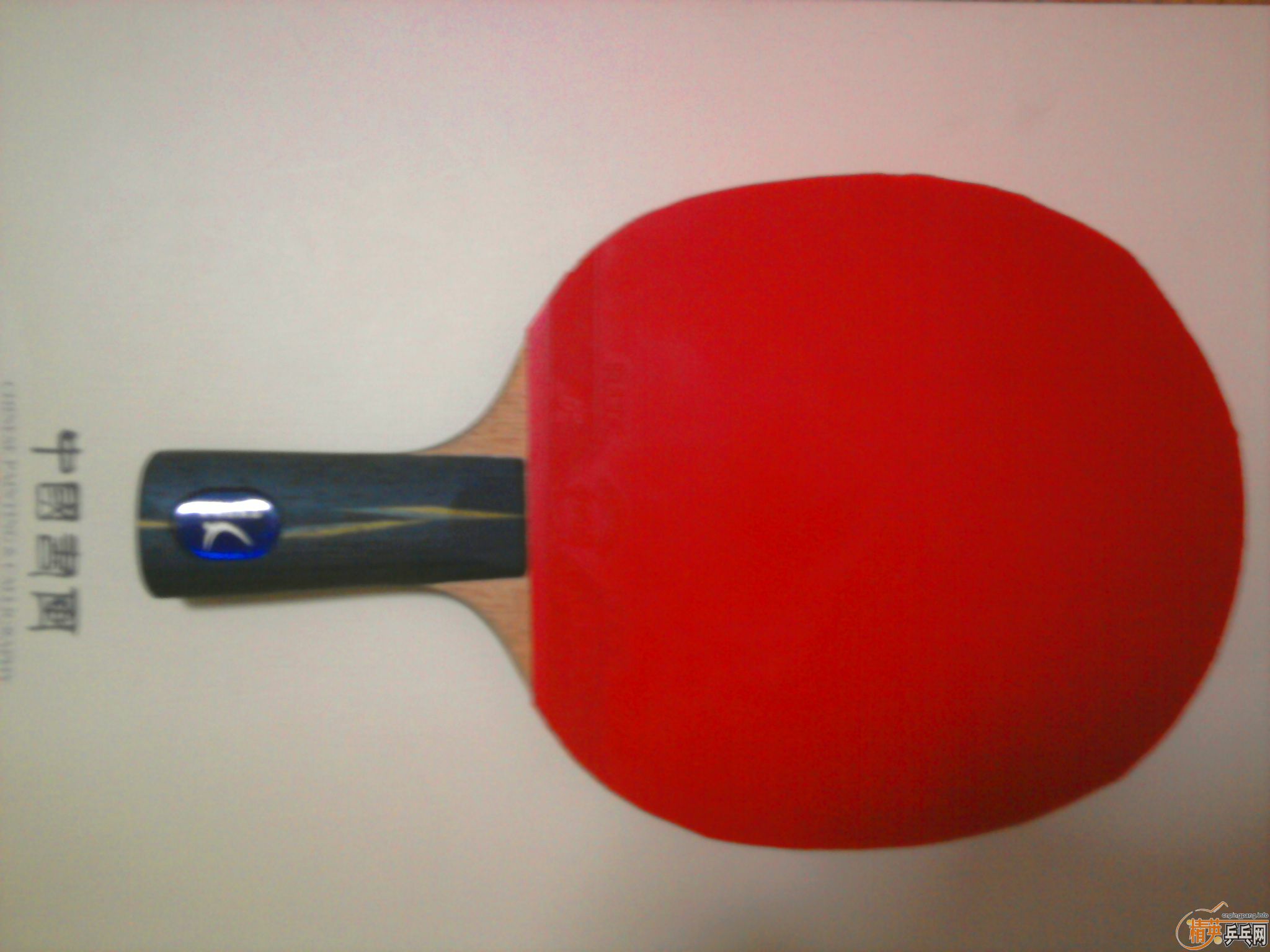 ��300Ԫ���ʣ����л�YE+�տ���+729