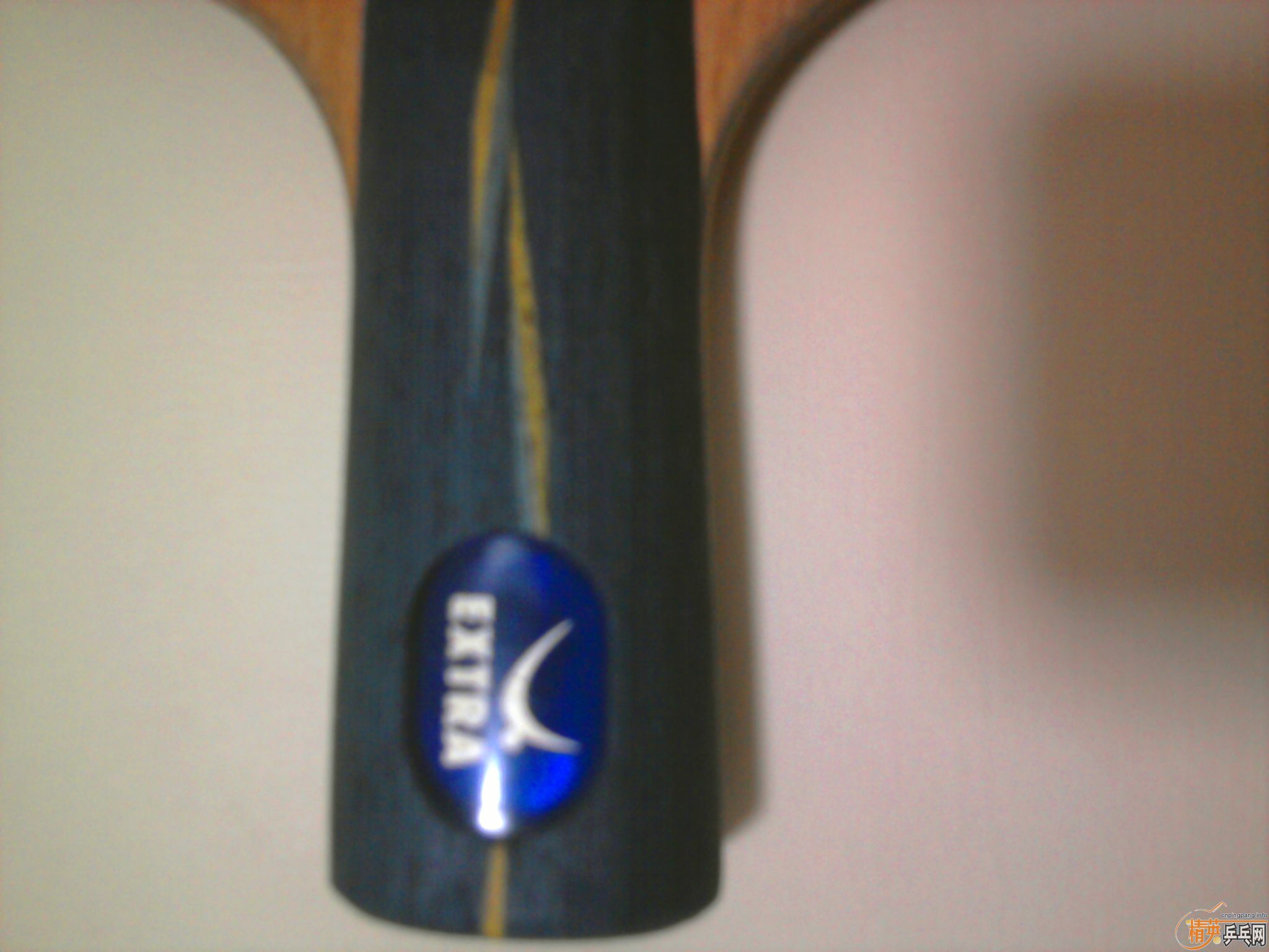 ��300Ԫ���ʣ����л�YE+�տ���+729